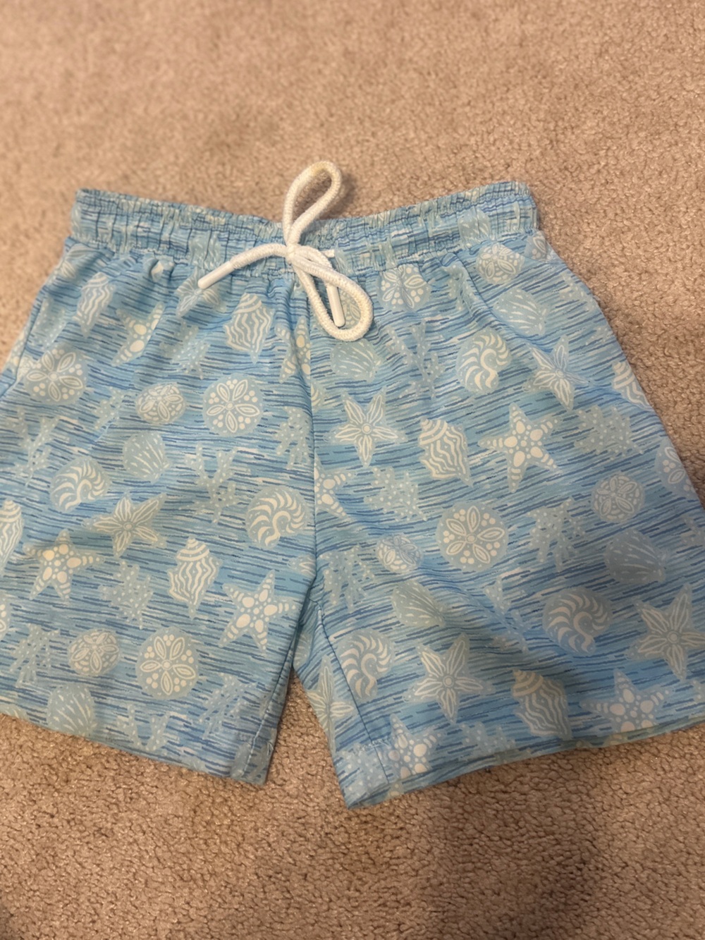 Classic Whimsey Swim Trunks size 4T